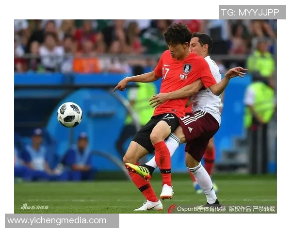 深圳排球队勇攀高峰的世界杯征程与辉煌成就回顾